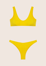 Bikinis de topo e dose visionária fixa de resumos americanos