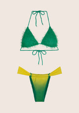 Triángulo de bikini y resúmenes brasileños fijos dosis visionaria