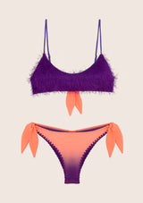 Top bikinis and visionary dose adjustable briefs