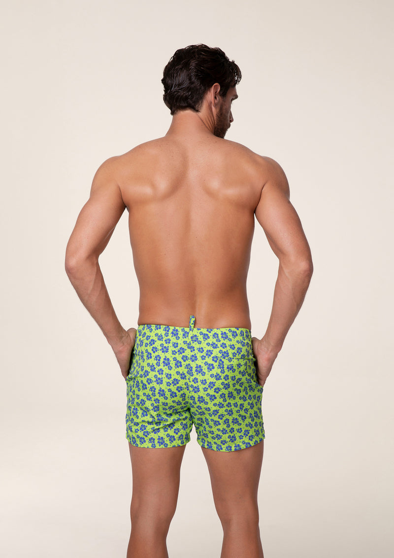 Mood Tropical Fantasy Shorts